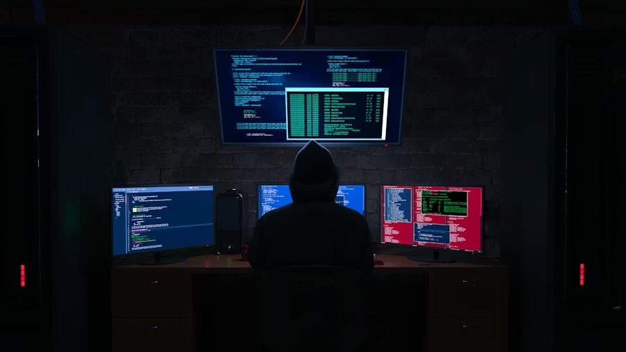 The silent behavior of fraudsters: what credit scores don't see